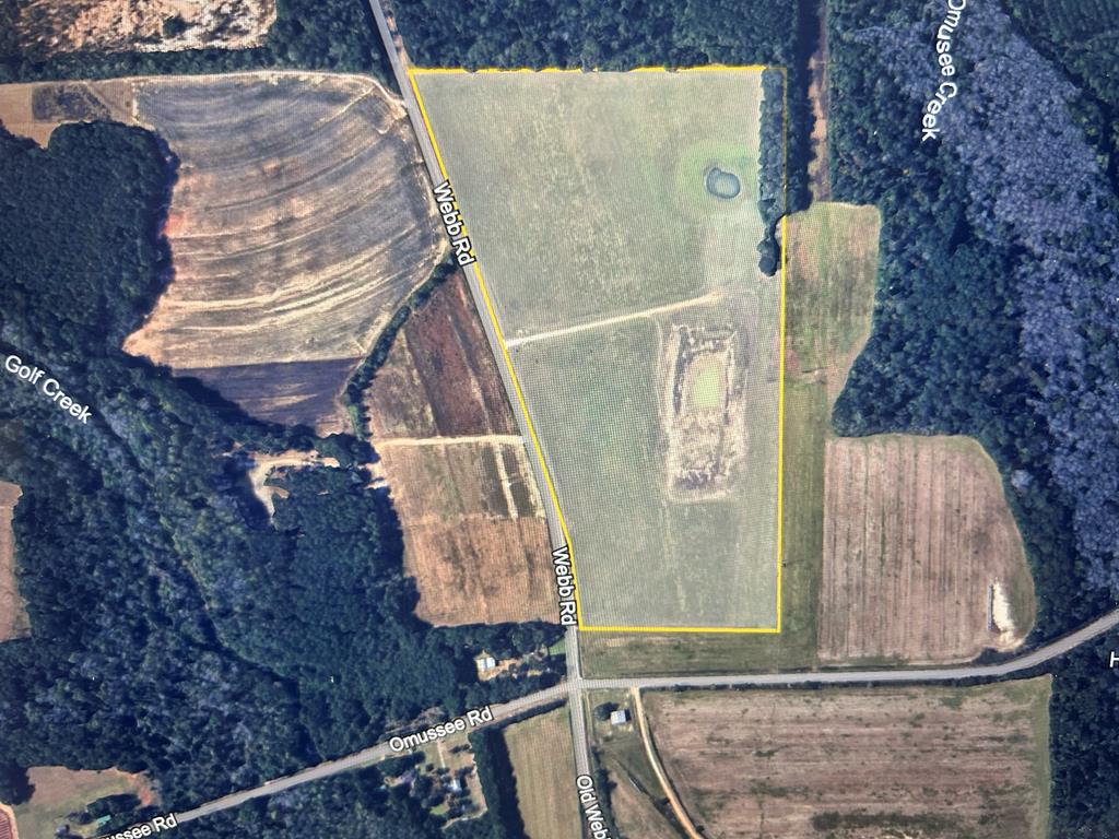 54.28+-ac Webb Rd, Dothan, Alabama image 6