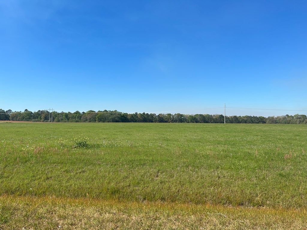 54.28+-ac Webb Rd, Dothan, Alabama image 41