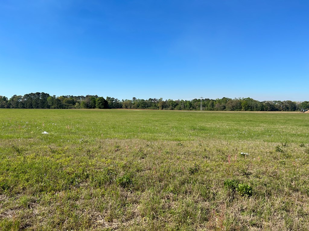 54.28+-ac Webb Rd, Dothan, Alabama image 42
