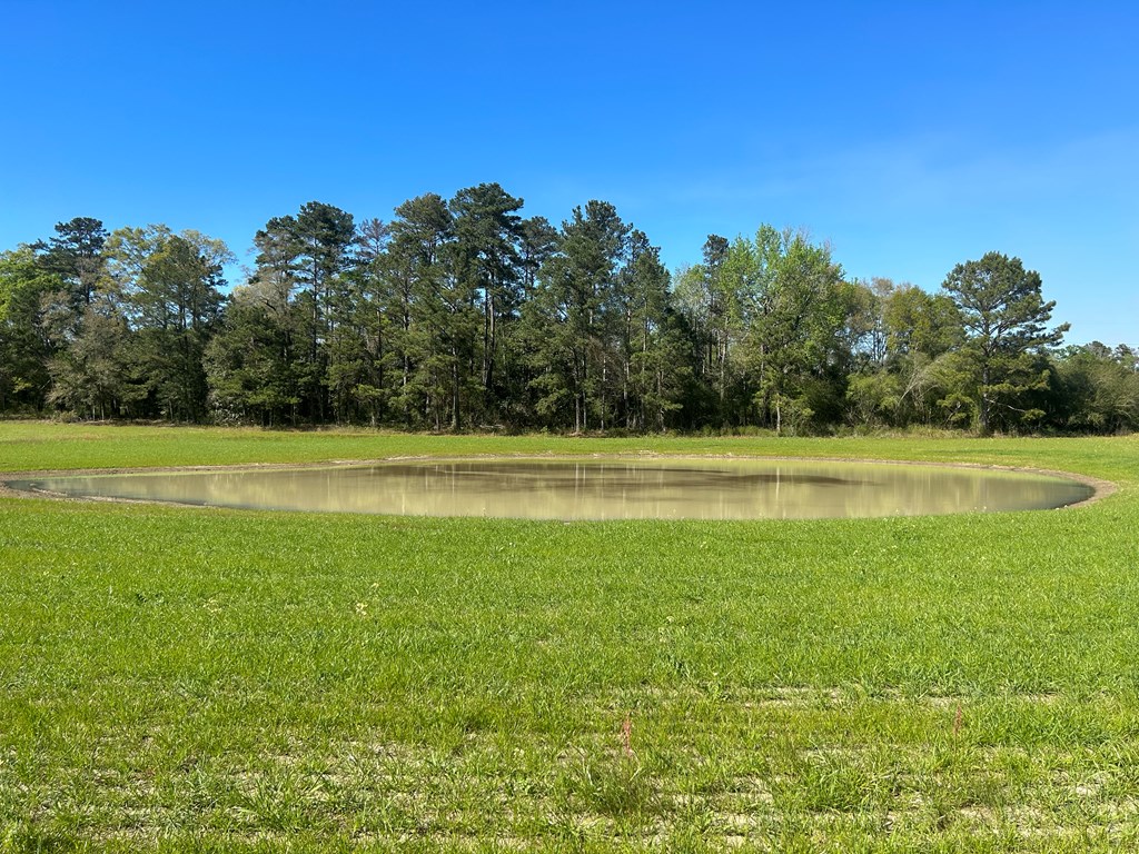 54.28+-ac Webb Rd, Dothan, Alabama image 27