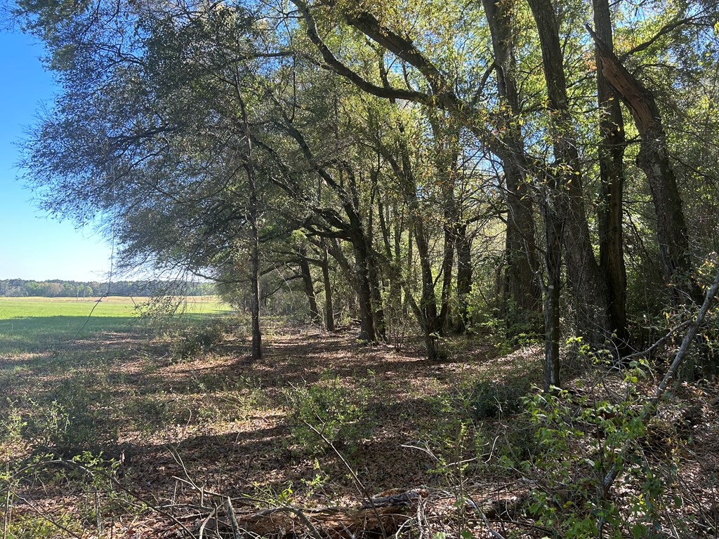 54.28+-ac Webb Rd, Dothan, Alabama image 35