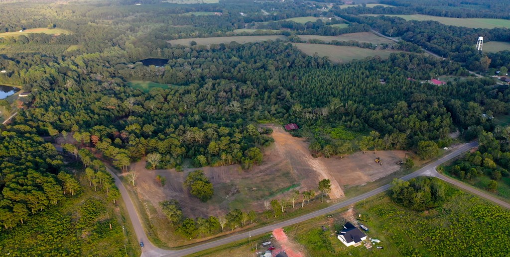 Lot 5 Blk B County Road 625, New Brockton, Alabama image 5