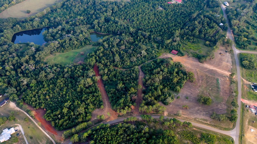 Lot 5 Blk B County Road 625, New Brockton, Alabama image 4