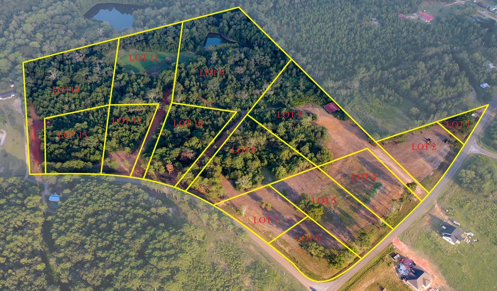 Lot 5 Blk B County Road 625, New Brockton, Alabama image 2