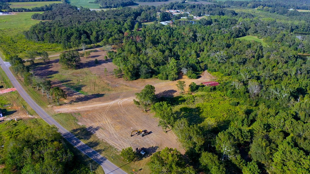 Lot 5 Blk B County Road 625, New Brockton, Alabama image 6
