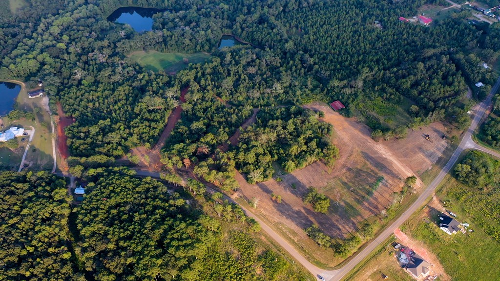 Lot 5 Blk B County Road 625, New Brockton, Alabama image 7