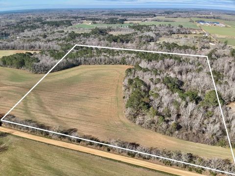 Vacant Land For Sale - 30 ACRES County Road 734<br/> Chancellor, AL 36316