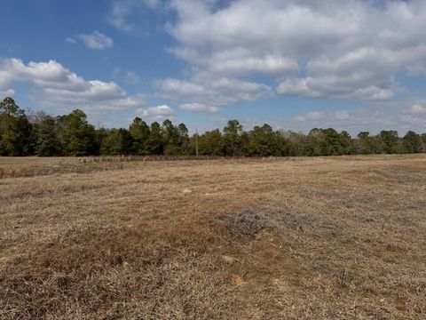 Vacant Land For Sale - County Road 6<br/> Geneva County, Black, AL 36340