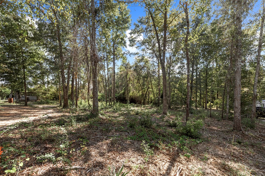 218 Little Oak Ct, Dothan, Alabama image 21