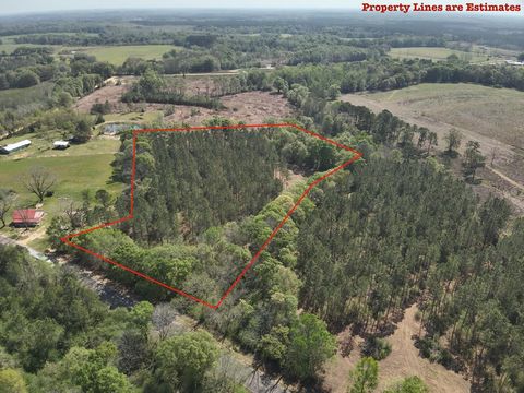 Vacant Land For Sale - S County Rd 49<br/> Geneva County, Slocomb, AL 36375