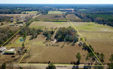 Vacant Land For Sale - 18.5 ACRES Nobles Rd   18.5 Acres<br/> Cottonwood, AL 36320