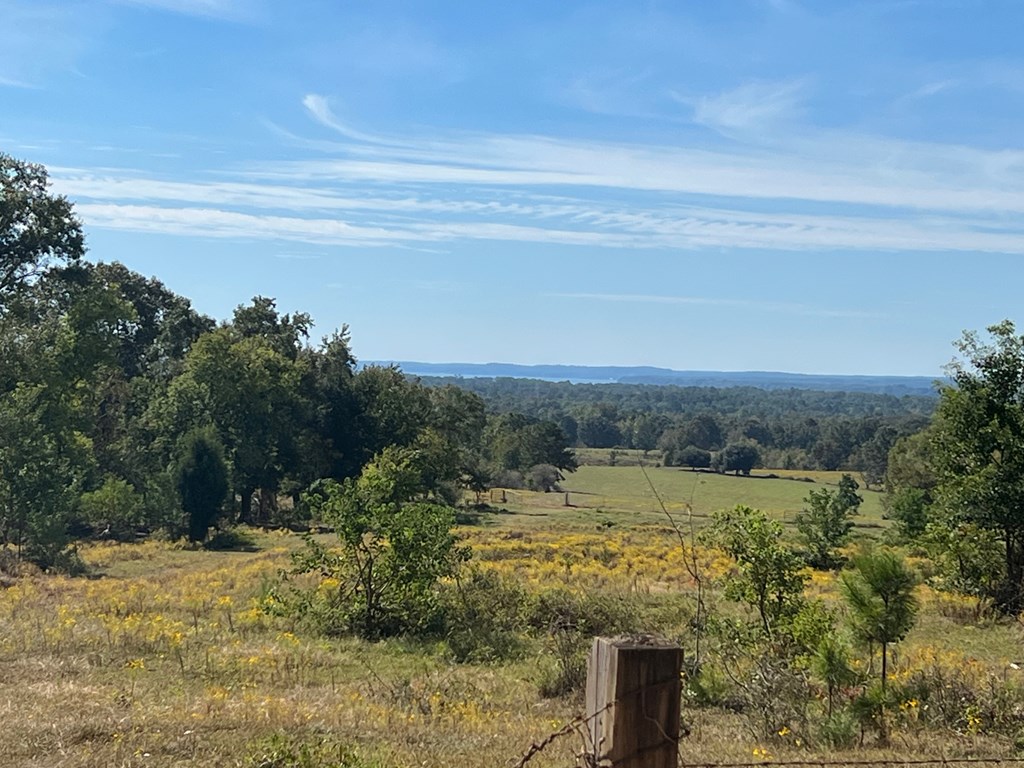 327 Deer Point Rd, Georgetown, Georgia image 7