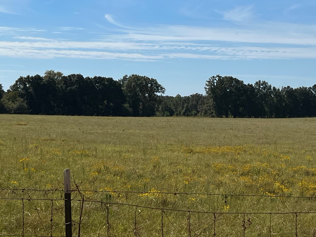 327 Deer Point Rd, Georgetown, Georgia image 9