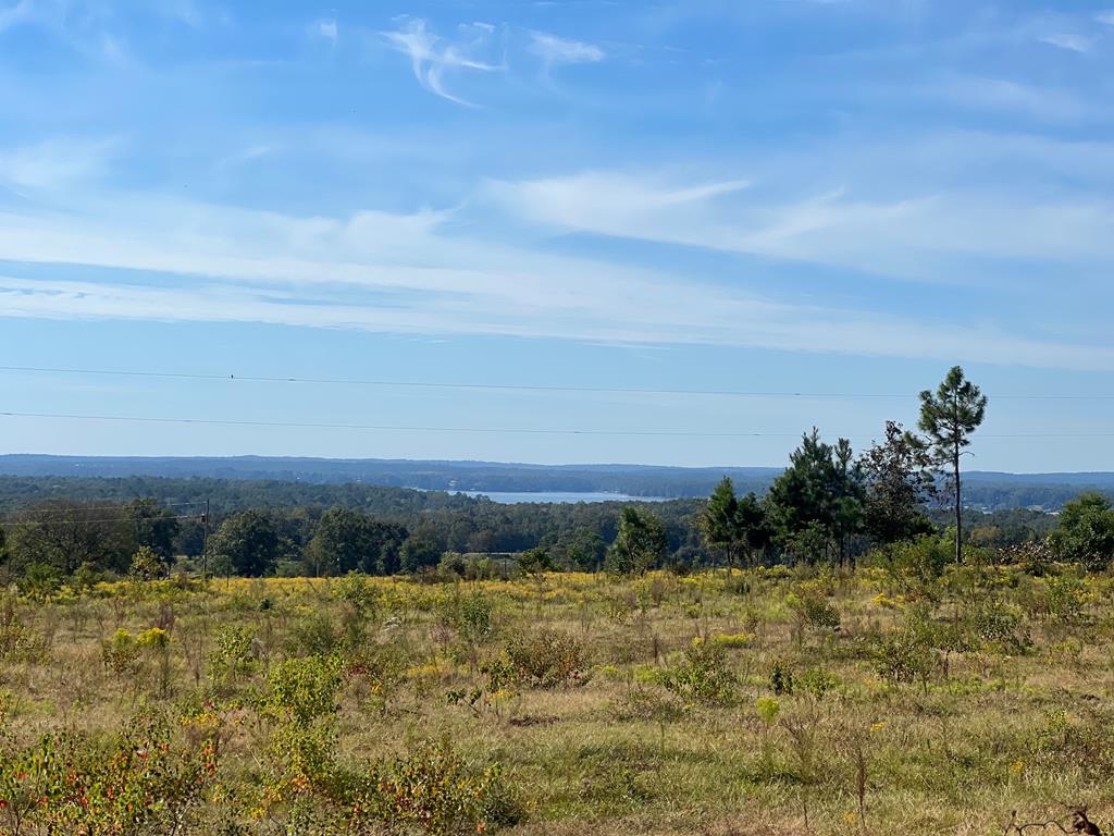 327 Deer Point Rd, Georgetown, Georgia image 1
