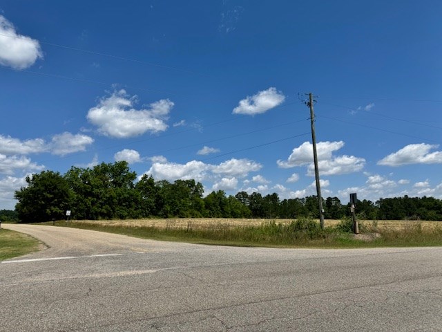 N County Road 33, Ashford, Alabama image 2