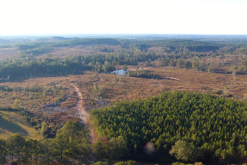 45 Ac County Road 228, Elba, Alabama image 3