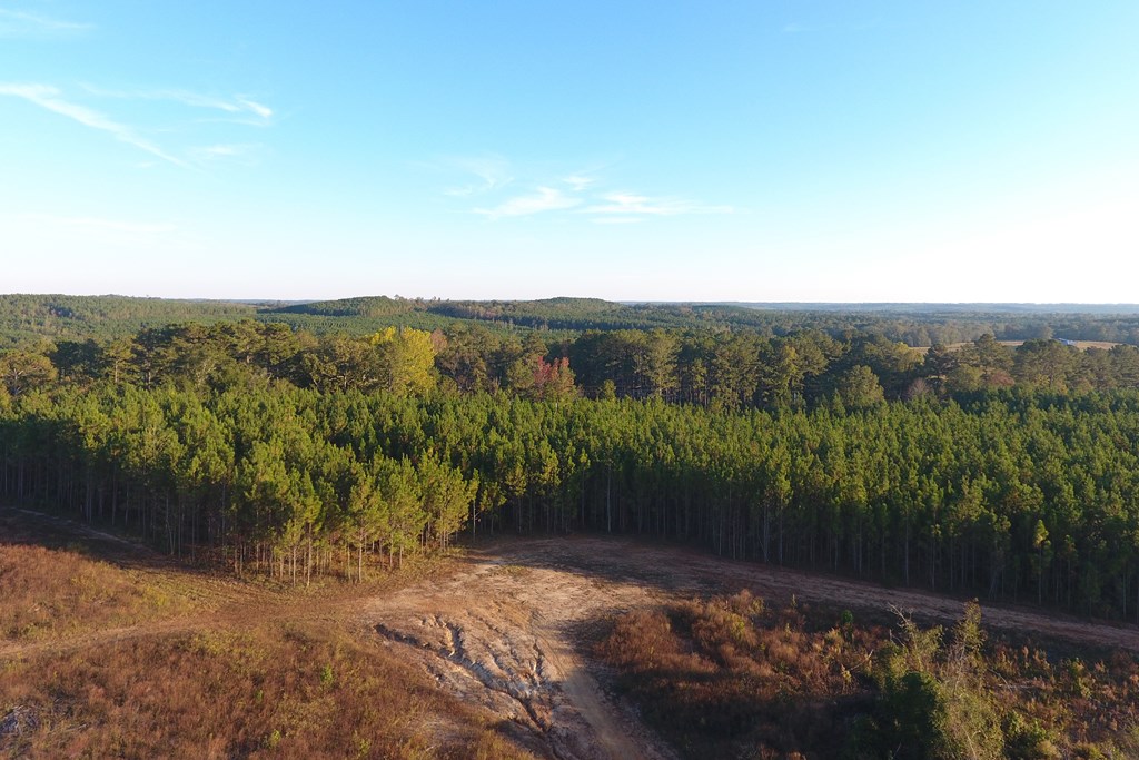 45 Ac County Road 228, Elba, Alabama image 2