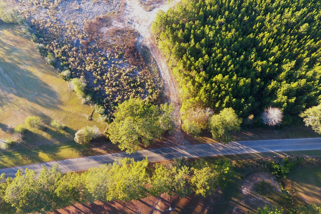 45 Ac County Road 228, Elba, Alabama image 4