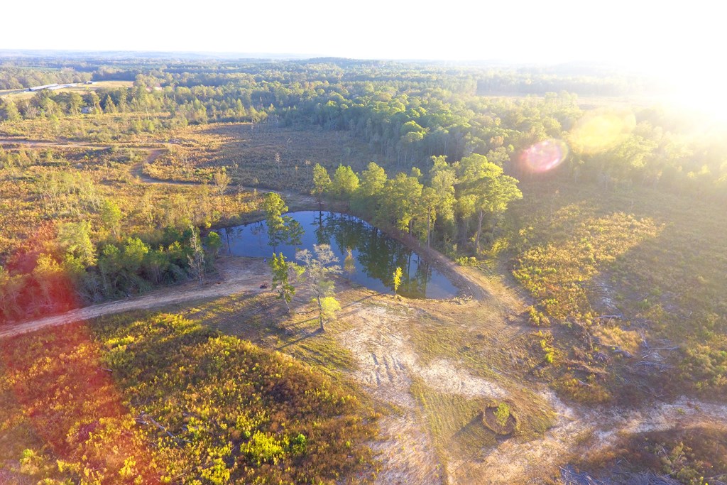 45 Ac County Road 228, Elba, Alabama image 5