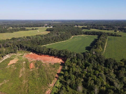 Vacant Land For Sale - 72.75 Boll Weevil Circle<br/> Coffee County, Enterprise, AL 36330