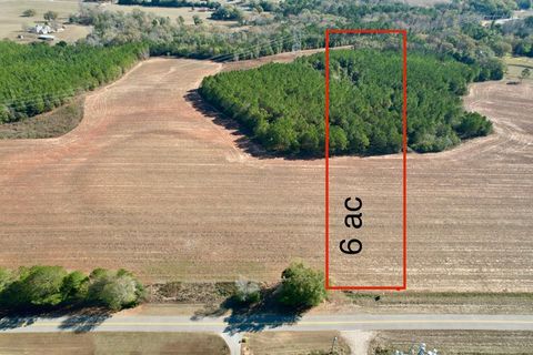 Vacant Land For Sale - County Rd 238<br/> Headland, AL 36345