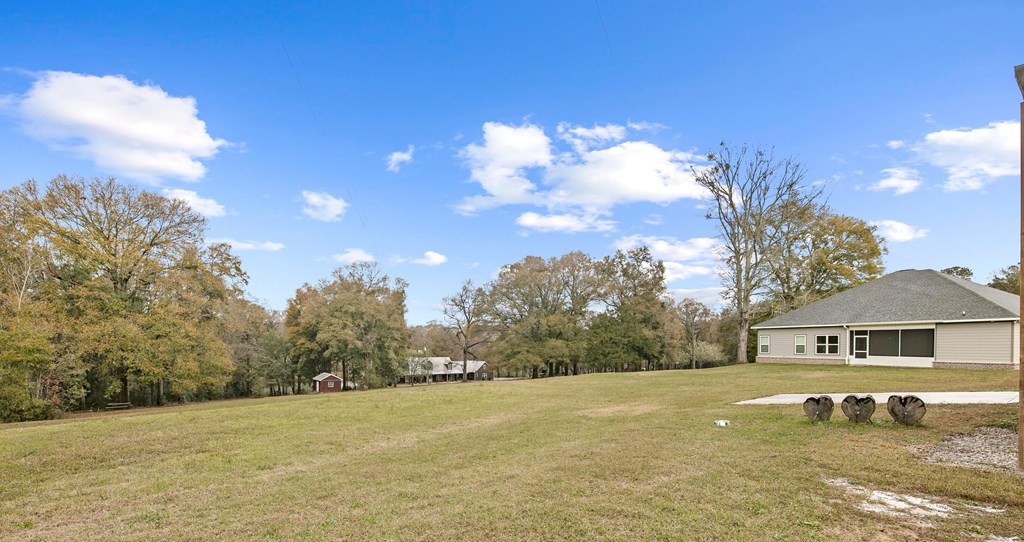 1207 Cr 1, Daleville, Alabama image 46