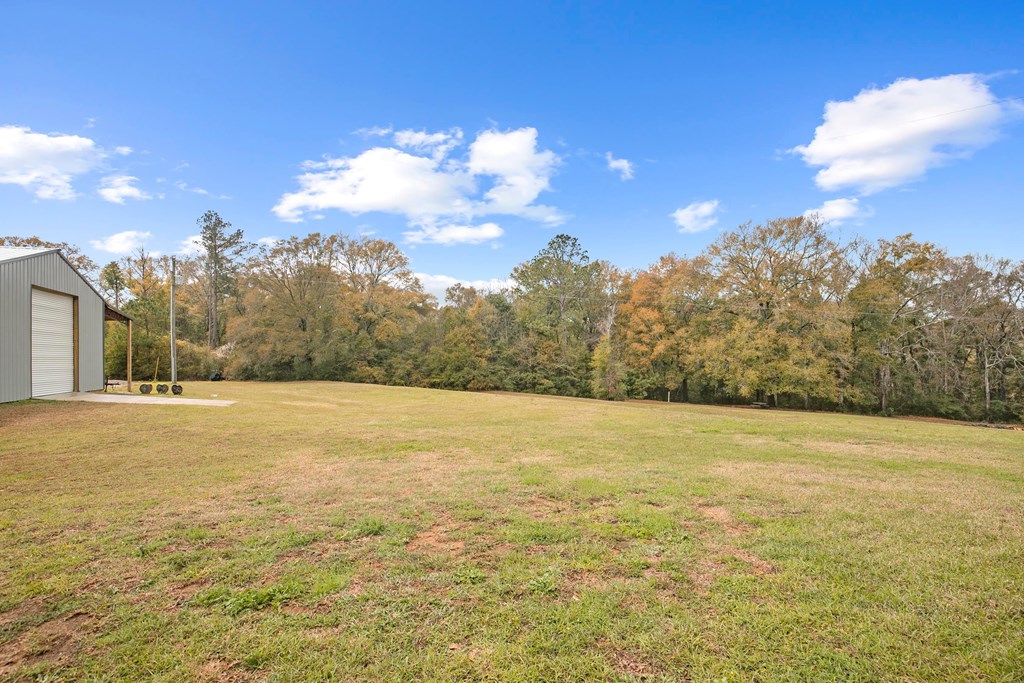 1207 Cr 1, Daleville, Alabama image 50