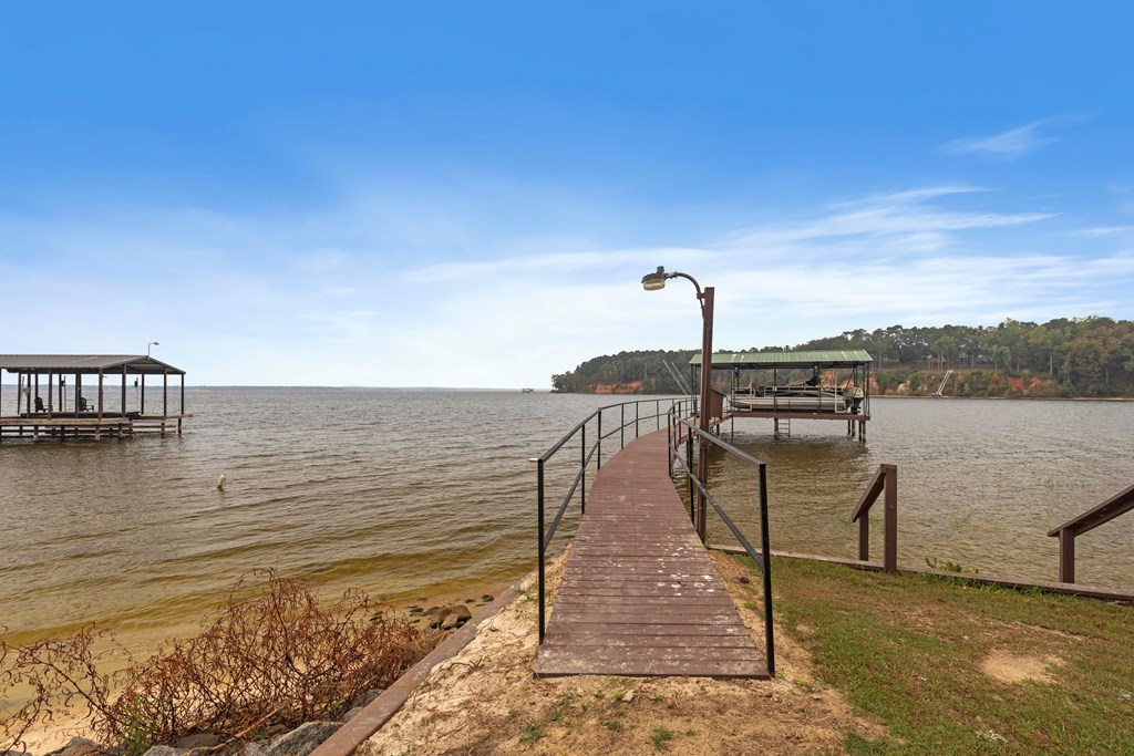 1090 Lake Front Drive, Abbeville, Alabama image 47