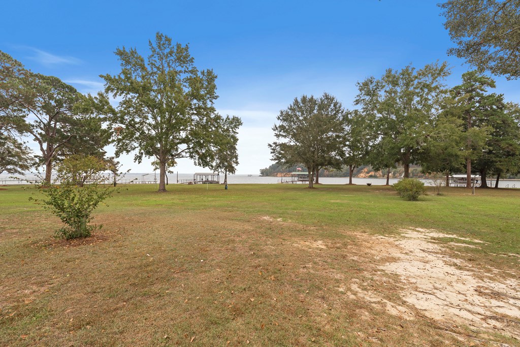 1090 Lake Front Drive, Abbeville, Alabama image 42