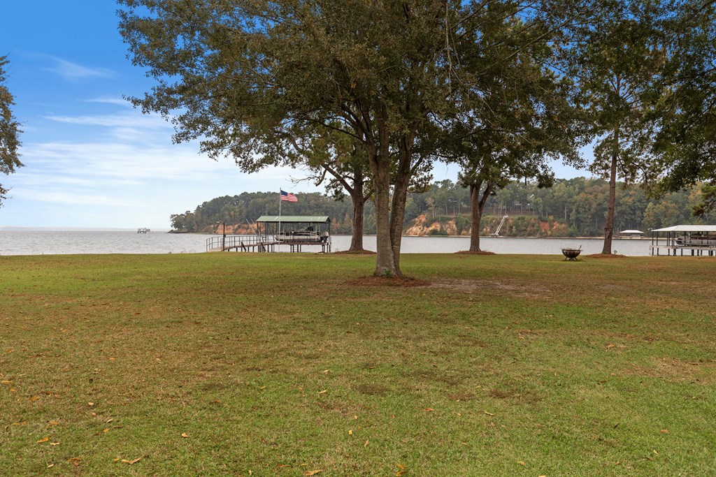 1090 Lake Front Drive, Abbeville, Alabama image 43