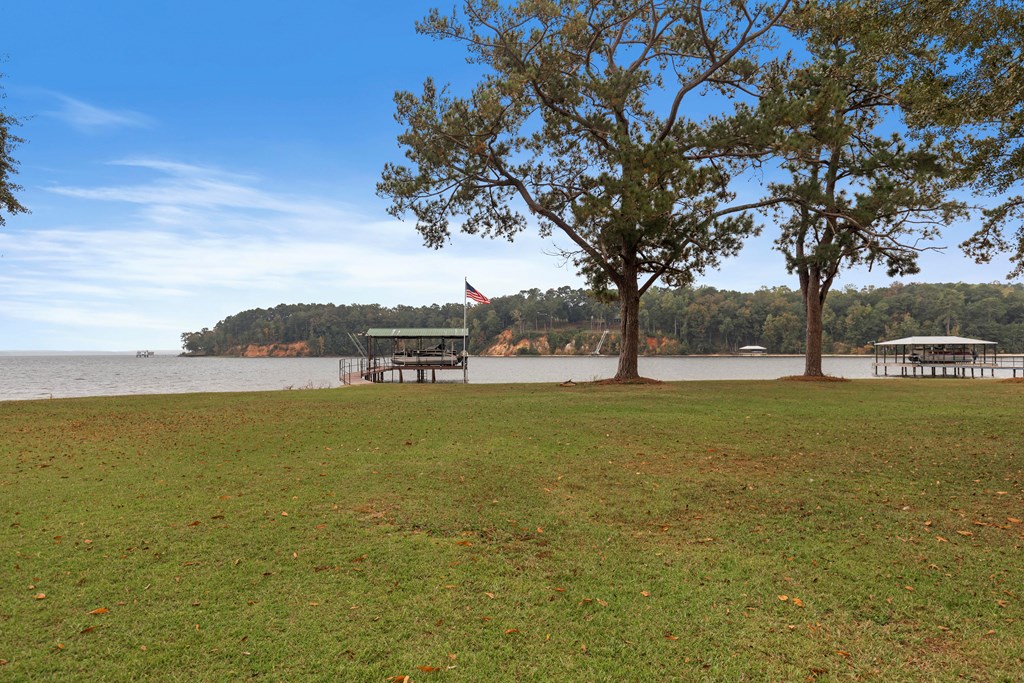 1090 Lake Front Drive, Abbeville, Alabama image 45