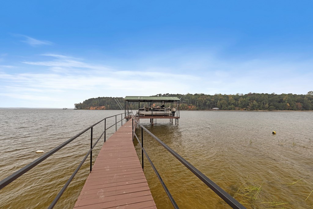 1090 Lake Front Drive, Abbeville, Alabama image 48