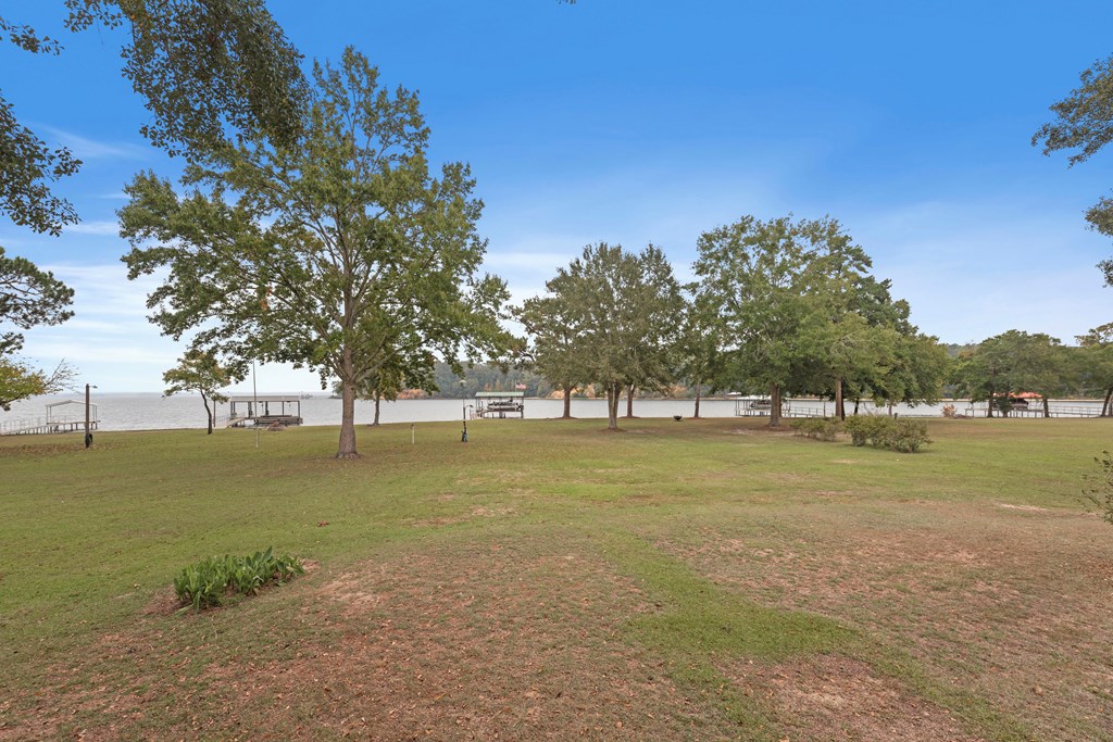 1090 Lake Front Drive, Abbeville, Alabama image 40