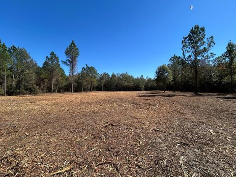Vacant Land For Sale - 20+-AC Coot Adams Rd<br/> Ashford, AL 36312