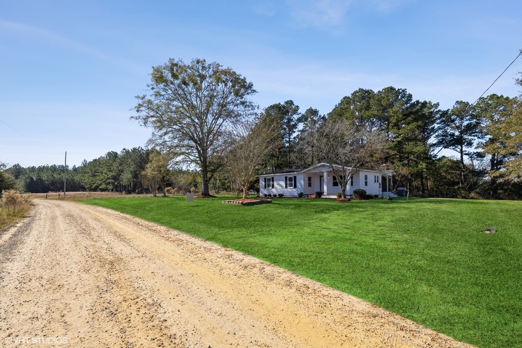 546 County Road 471, Kinston, Alabama image 2