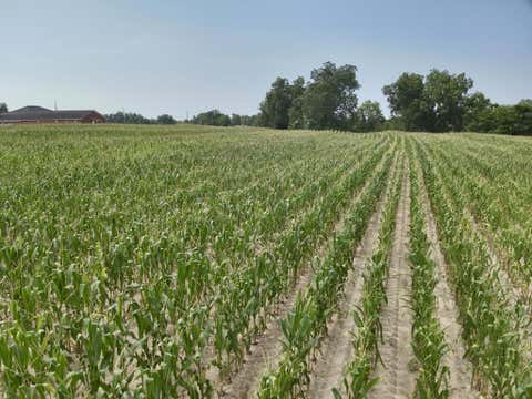 Vacant Land For Sale - 3.5 ACRES Liberty Road<br/> Pansey, AL 36370