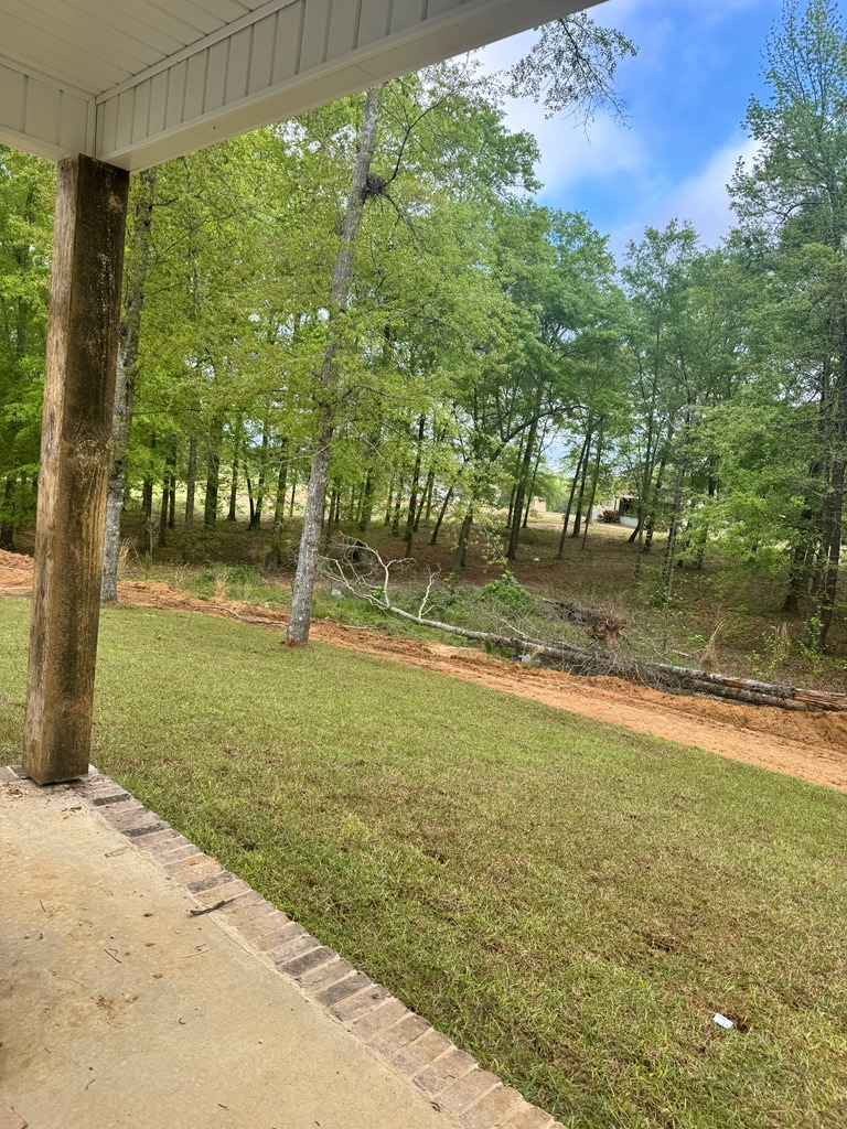 2477 Jordan Ave, Cowarts, Alabama image 22