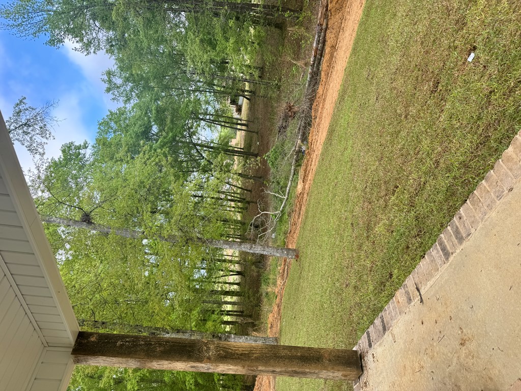 2477 Jordan Ave, Cowarts, Alabama image 19
