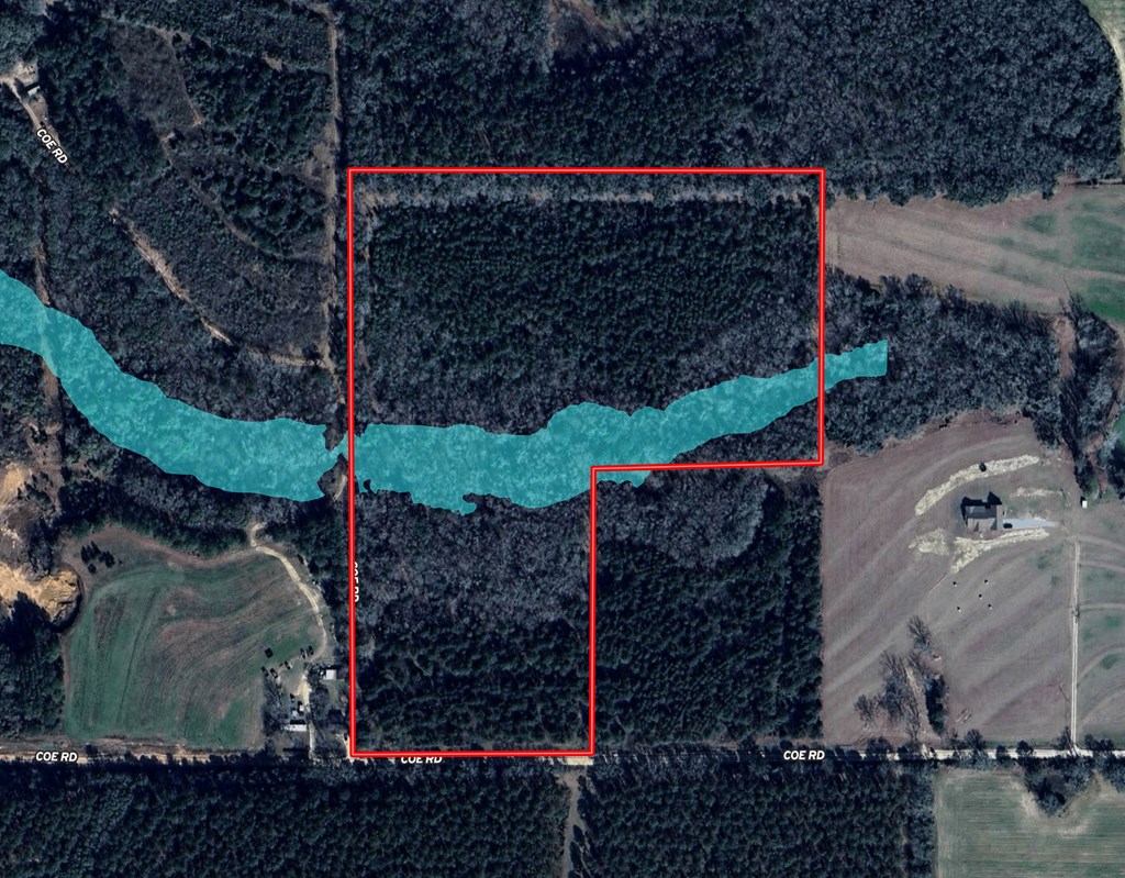 25 Acres Coe Road, Hartford, Alabama image 4