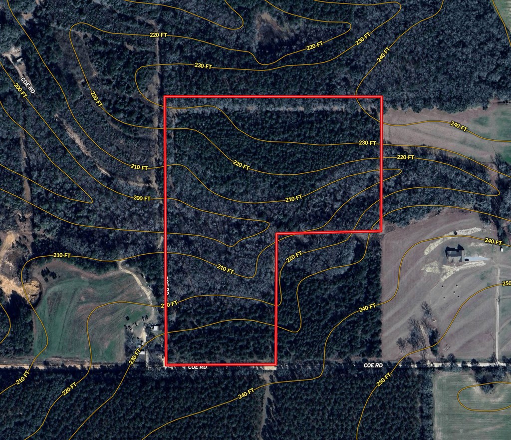 25 Acres Coe Road, Hartford, Alabama image 21