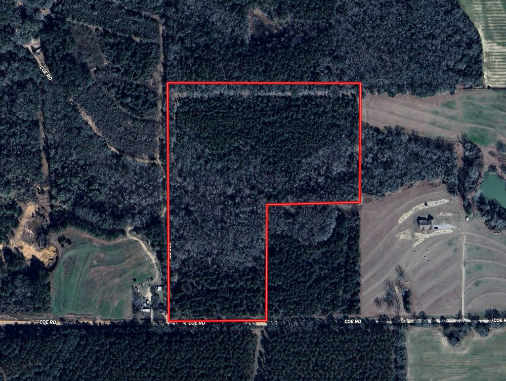 25 Acres Coe Road, Hartford, Alabama image 17