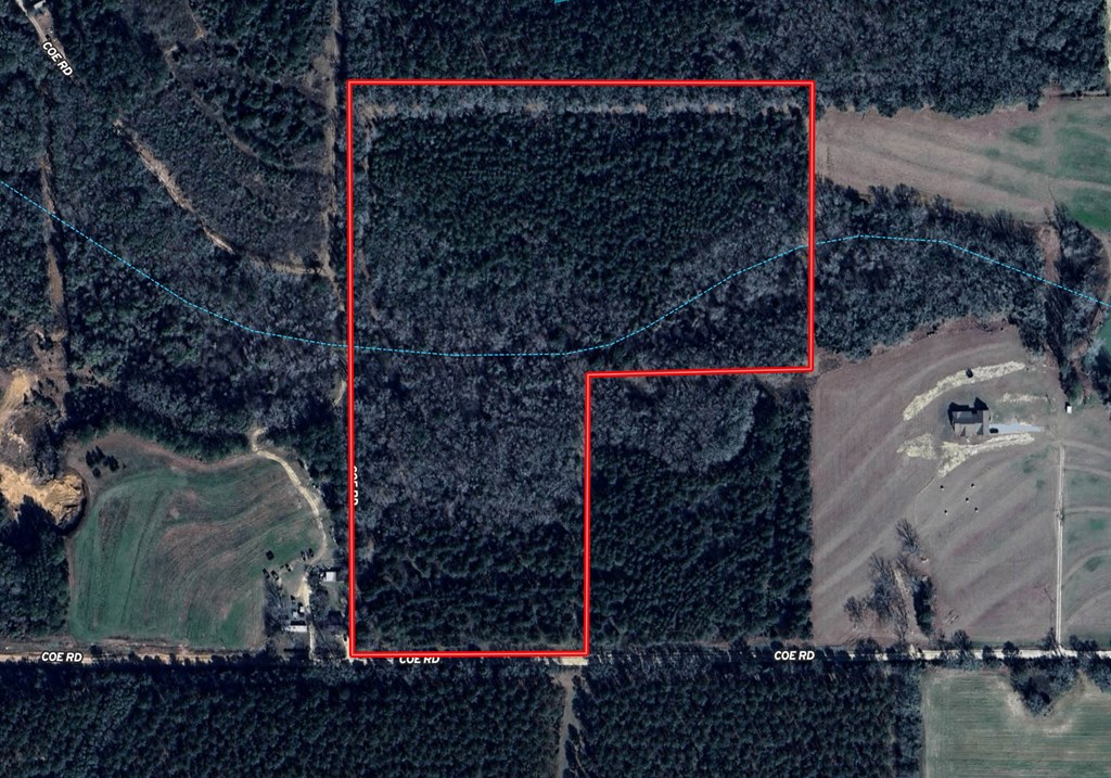 25 Acres Coe Road, Hartford, Alabama image 19