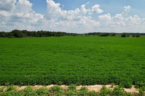 Vacant Land For Sale - Judge Logue Road<br/> Houston County, Dothan, AL 36352
