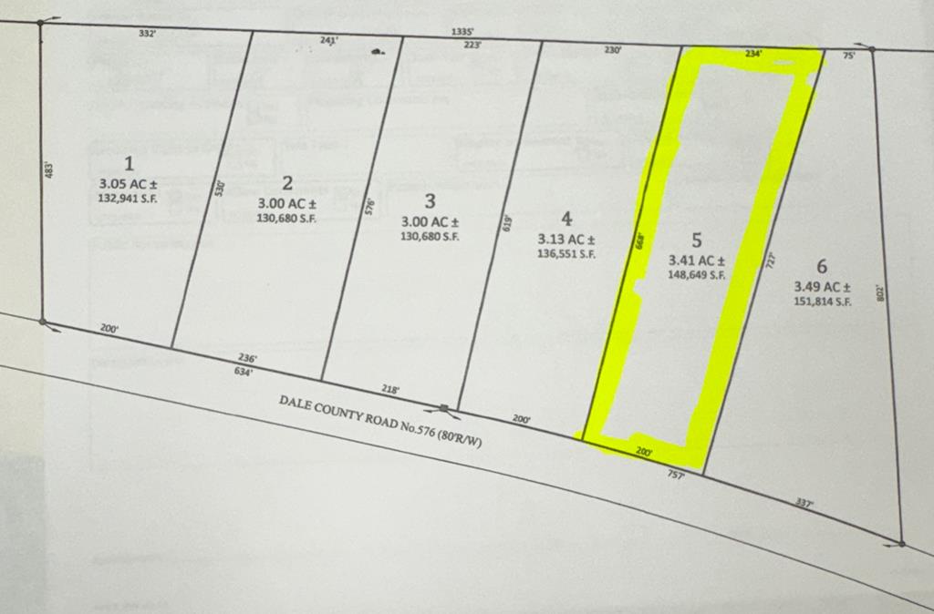 Lot 5 Dale County Rd 576, Headland, Alabama image 1