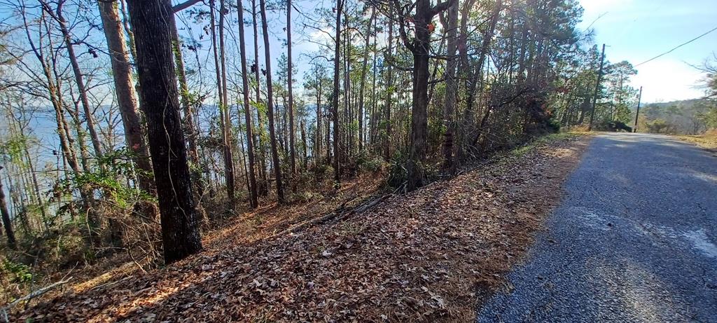 LAND ONLY Lakeshore, Abbeville, Alabama image 5