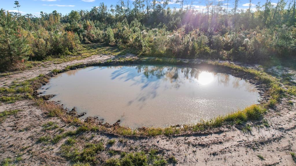 Sealy Wells Road, Cottonwood, Alabama image 19