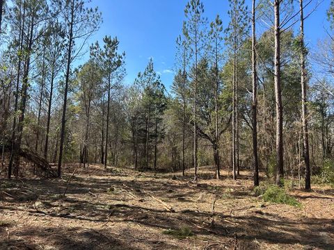 Vacant Land For Sale - LOT 2 20+-AC Phillips Rd<br/> Cottonwood, AL 36320