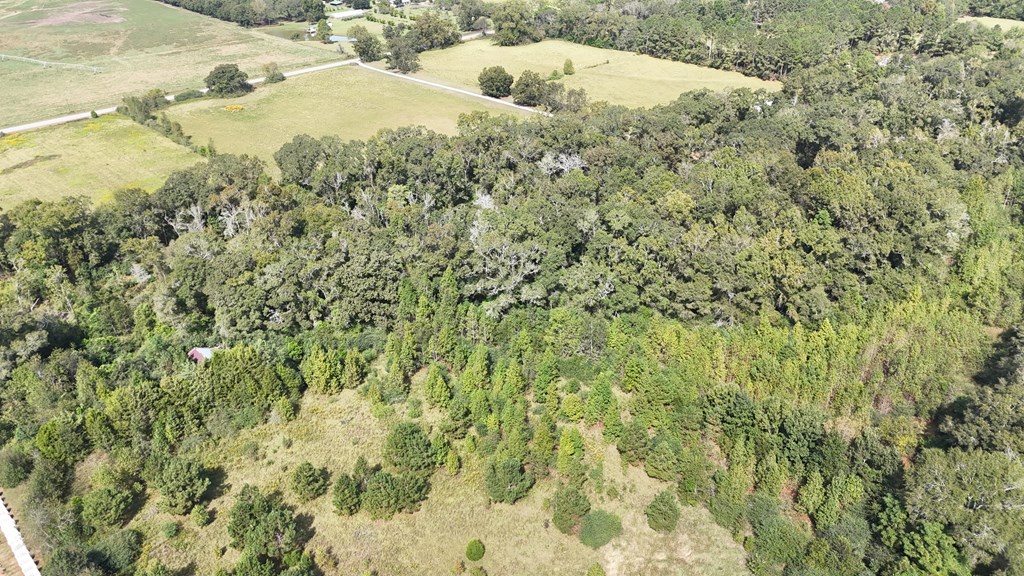 Cowarts, Alabama 36321, United States, 5 Bedrooms Bedrooms, ,3 BathroomsBathrooms,Residential,Active,224906