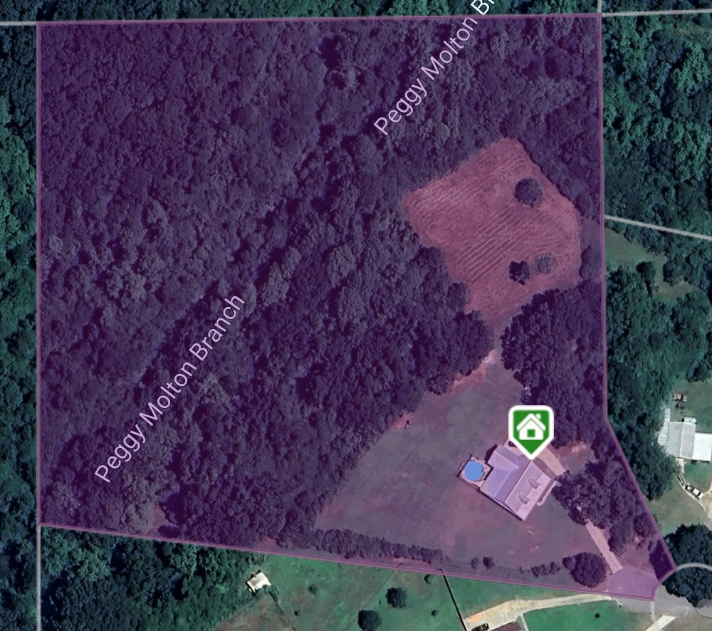 286 Private Road 1706, Enterprise, Alabama image 30