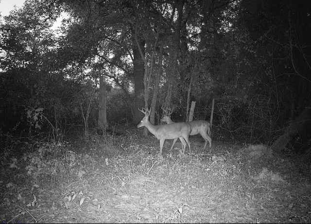 1.92+-ac Barnes Rd, Gordon, Alabama image 26